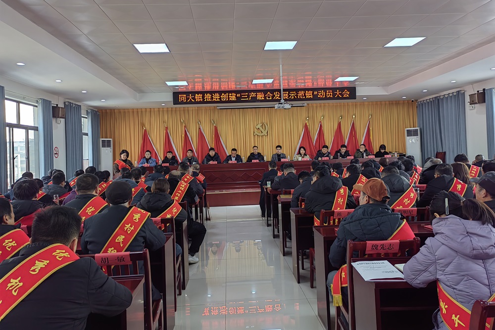 同大鎮(zhèn)動員大會.JPG