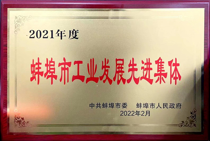 蚌埠市工業(yè)發(fā)展先進集體照片_副本.jpg